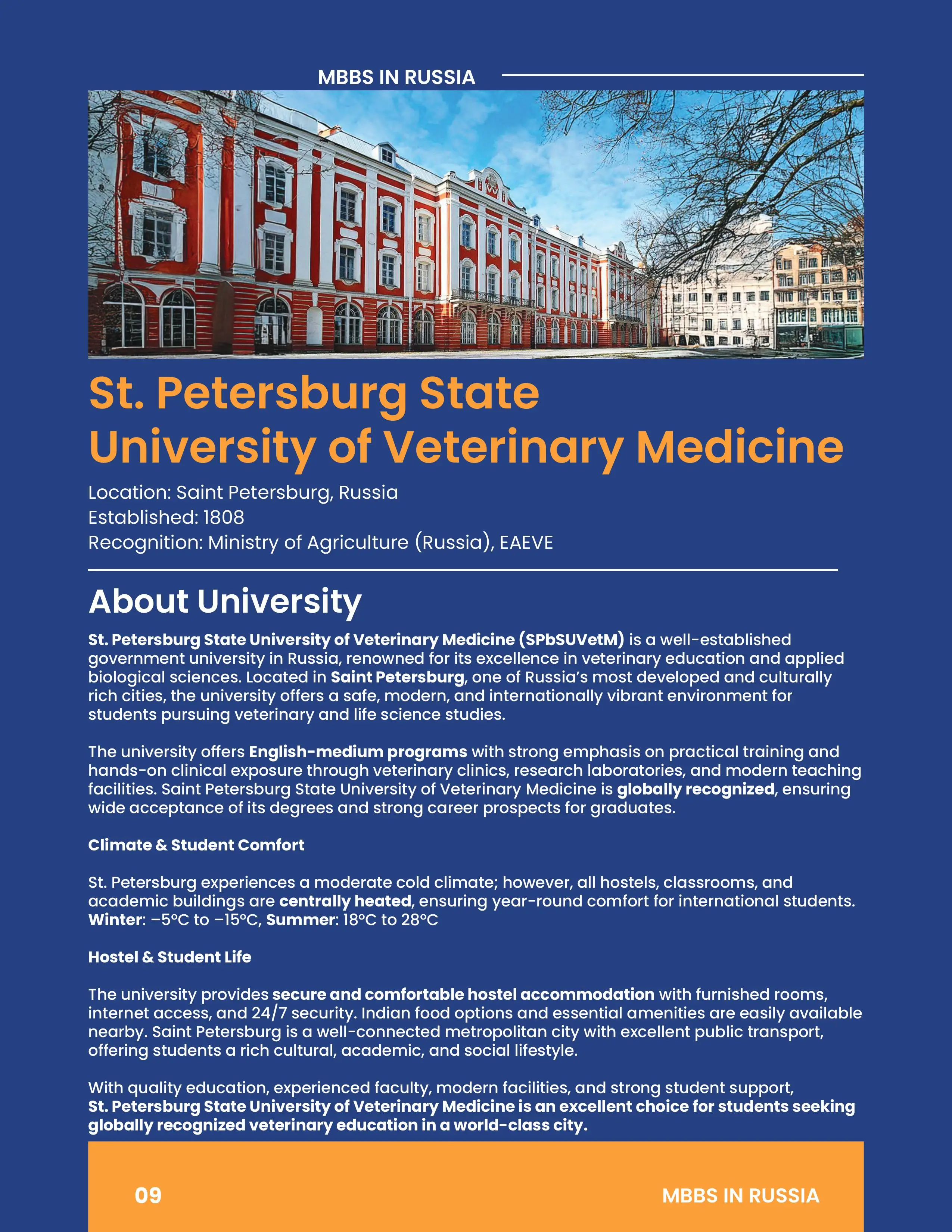 file (4)-images-7.webp